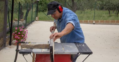 Image of a handyman carpenter with safety devices making cuts with a bench saw in wooden beams. Construction, carpentry and do-it-yourself works