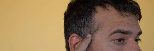 Image of a man indicating the appearance of the first white hair on the temples. Reference you have possible remedies to counteract the fall and the appearance of white hair. Horizontal banner