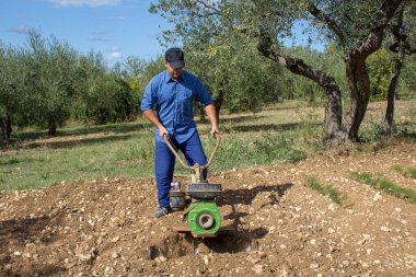 Elinde dümenci olan bir çiftçinin görüntüsü sebze bahçesini işlemek için toprağı hazırlıyor..