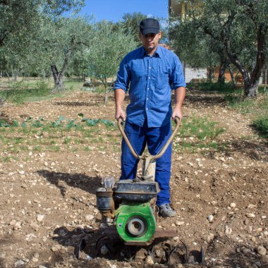 Çiftçi bir dümenciyle sebze bahçesinin ekimi için toprağı işlerken. Bereketli toprak hazırlığı