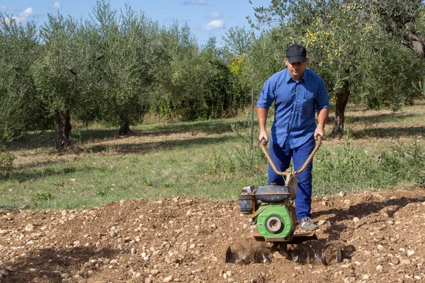 Farmer with a tiller while he tills a land for the cultivation of the vegetable garden. Fertile soil preparation
