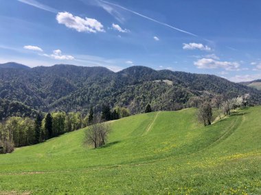 Mavi dağların arkasında güzel dağ manzaraları, ağaçlar ve yeşil çimenler.