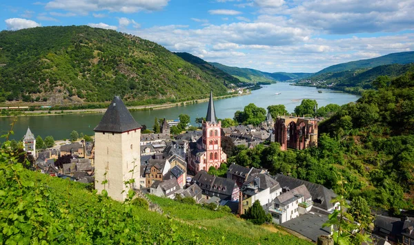 Bacharach Rhein Panoramik Manzarası Eski Almanya Üzüm Bağı Tepeleri Ren — Stok fotoğraf