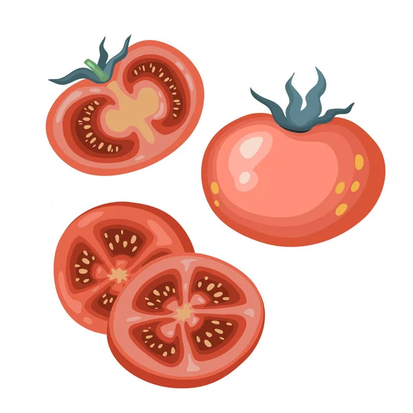 Uppsättning tomater. En hel tomat, skuren i en tomat. Vektorillustration i platt stil — Stock vektor