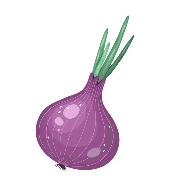 Whole onion. Flat simple design. Vector illustration of organic farm fresh vegetables. — Stockvektor