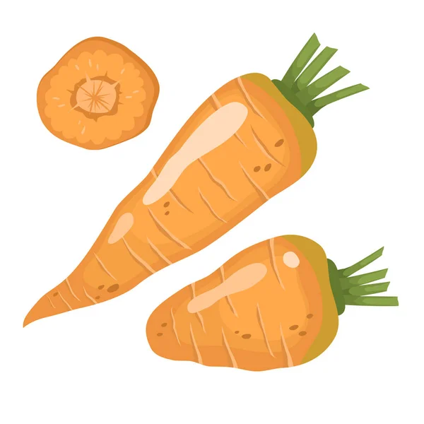 Carrot Set Vector Illustration Fresh Vegetable Slice Cartoon Flat Simple — Stock vektor