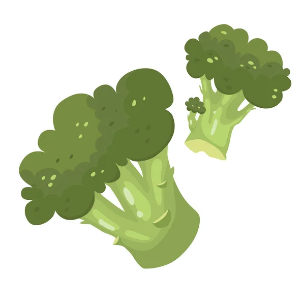 Broccoli Fresh Clipart Set Broccoli Vegetables White Isolated Background Vector — Archivo Imágenes Vectoriales