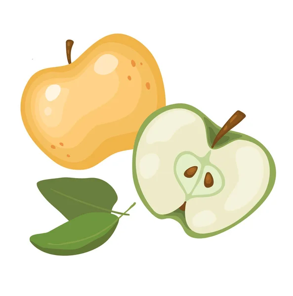 Conjunto de rodajas de manzana frescas enteras, mitad, en rodajas aisladas sobre un fondo blanco. Frutas orgánicas. Estilo de dibujos animados. Ilustración vectorial para cualquier diseño — Archivo Imágenes Vectoriales