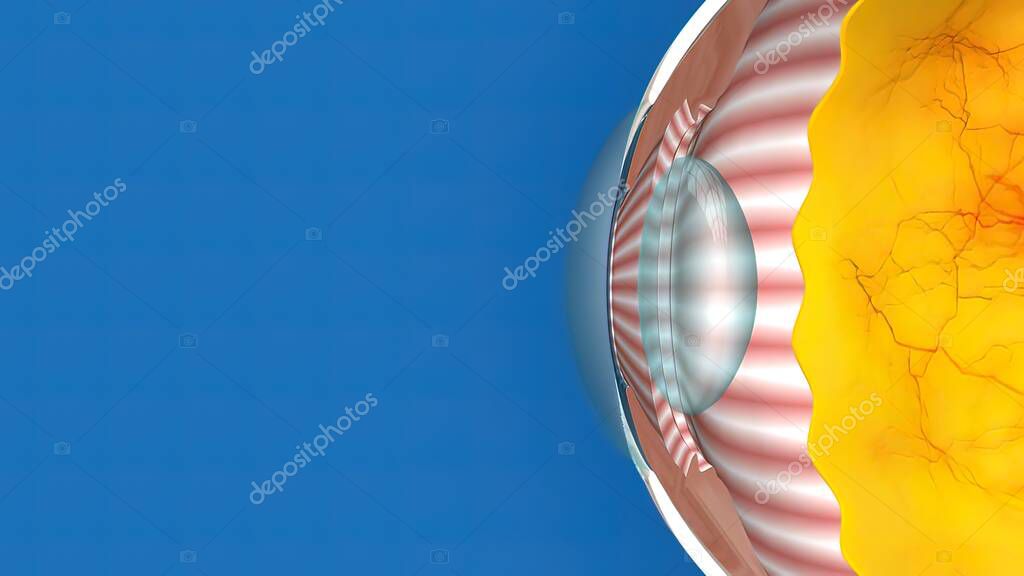 de baja tensión o presión normal. En el de tensión