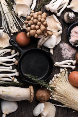 Çeşitli Çiğ Mantar Türleri - Portobello Mantarları, Şampiyonlar, Shimeji, Enoki Mantarları. Mantar Arkaplan, Kırsal Ruh hali Üst Görünümü