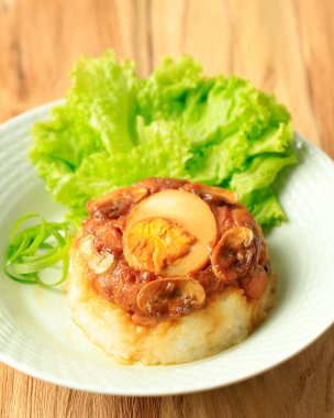 Ev yapımı Nasi Tim Ayam, buğulanmış pilav ve doğranmış tavuk sosu. Kahvaltı için Endonezya Konfor Yemeği. Metin için Kopyalama Alanı ile Seramik Tabakta Servis Edildi