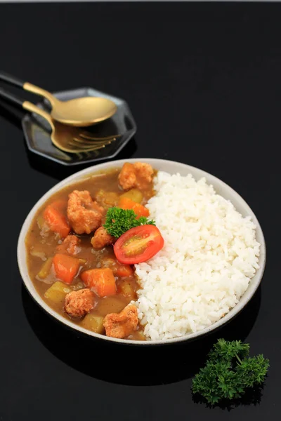 Japoński Lub Koreański Curry Ryżem Japoński Styl Żywności Służył Płycie — Zdjęcie stockowe