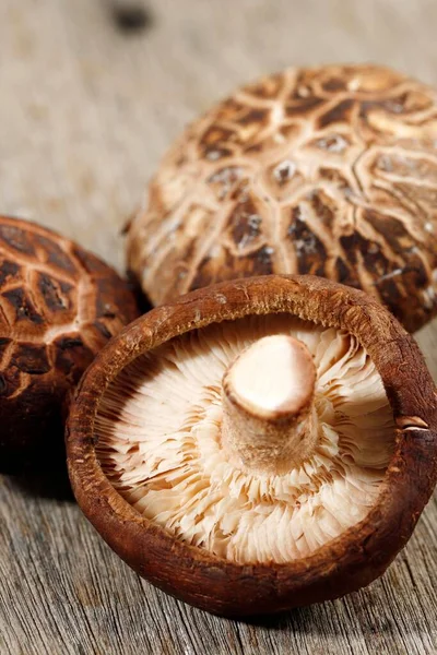 Agaricus Bisporus Atau Portobello Mushroom Segar Terisolasi Latar Belakang Wooden — Stok Foto