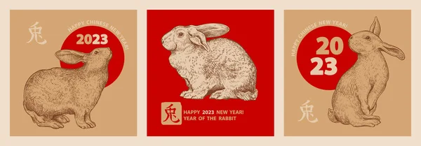 Lapin Est Symbole Nouvel Chinois 2023 Ensemble Trois Cartes Vœux — Image vectorielle
