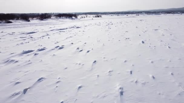 ロシア極東の凍った川を飛んでいます 川の雪で覆われた氷 ドローンは水面を低く飛んでいる 天気は曇っている — ストック動画