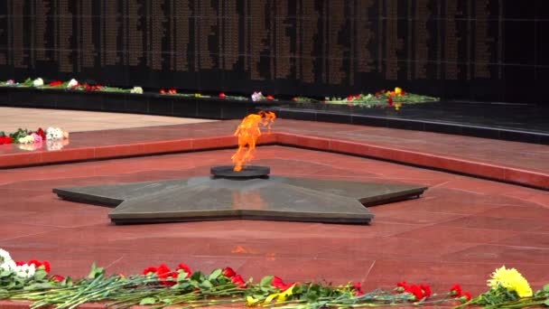 Api Abadi Monumen Untuk Pahlawan Perang Yang Gugur Khabarovsk Monumen — Stok Video