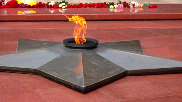 ハバロフスクの戦争の英雄に記念碑の永遠の炎 ナチス ドイツをめぐるソ連大祖国戦争 1941年 1945年 における戦死者と将校の記憶への記念碑 — ストック動画