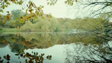 Parktaki sonbahar gölü. Kamera suyun üzerinde hareket eder ve ağacın dallarına doğru yükselir. Sonbahar yaprakları suyun üzerinde yüzer. Ağaçların dalları bir ayna gibi gölün yüzeyine yansıyor. Yağmurdan sonra bulutlu.