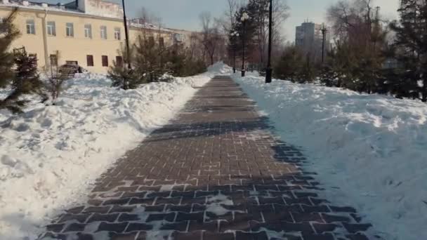 日没の冬の広場 木々や雪の道の路地をクリアします 路地をカメラがゆっくりと動き — ストック動画