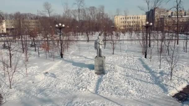 冬の広場と広場 ウラジーミル イリヒ レーニンの記念碑 ロシア極東 ハバロフスク市 無人機からの銃撃 — ストック動画