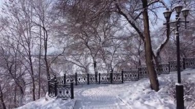 Şehir parkının kış sokakları. Karda ağaçlar. Kamera kış parkının ara sokağında hareket ediyor. Güneşli bir günde. Yerin altında.. 
