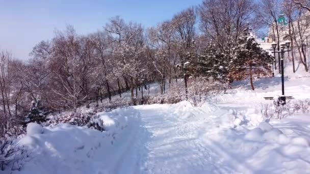 Zimní Uličky Městského Parku Stromy Sněhu Kamera Pohybuje Uličkou Zimního — Stock video