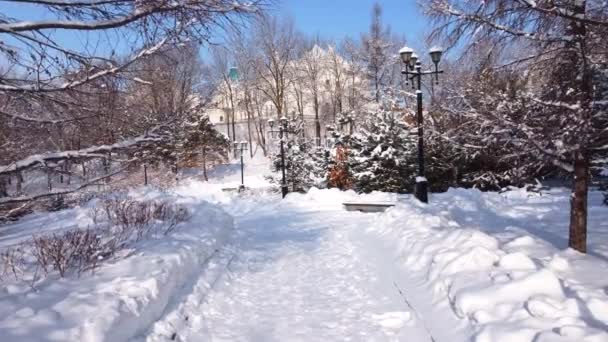Зимові Алеї Міського Парку Дерева Снігу Камера Рухається Вздовж Алеї — стокове відео