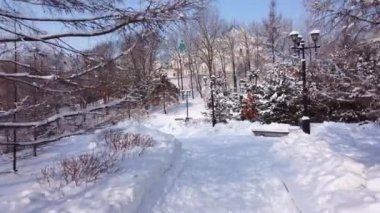 Şehir parkının kış sokakları. Karda ağaçlar. Kamera kış parkının ara sokağında hareket ediyor. Güneşli bir günde. Yerin altında.. 