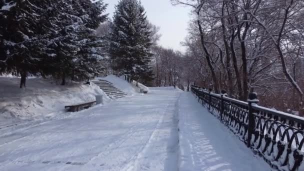 Ruelles Hiver Parc Ville Des Arbres Dans Neige Caméra Déplace — Video