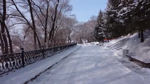 Şehir Parkının Kış Sokakları Karda Ağaçlar Kamera Kış Parkının Ara — Stok video