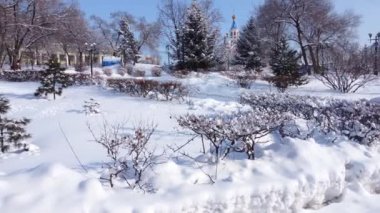 Ağaçlı ve köknar ağaçlı bir park alanında kış panoramik çekimi. Kışları Khabarovsk seti, Amur kıyısındaki Central City parkı Kont Muravyov-Amursky 'nin adını almıştır..