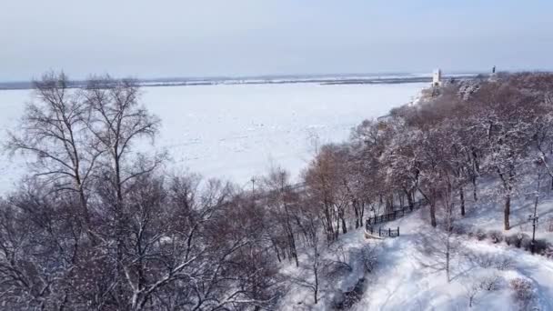 Disparo Invierno Área Parque Con Árboles Abetos Desde Una Vista — Vídeo de stock