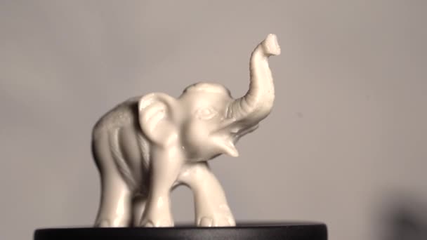 一头由石头做成的小白象 一个小人物绕着轴旋转 宏观摄影 — 图库视频影像