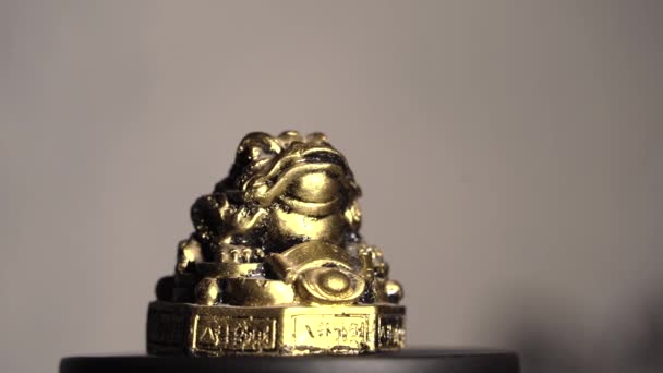 Ein Goldener Frosch Münzen Souvenir Eine Kleine Figur Dreht Sich — Stockvideo