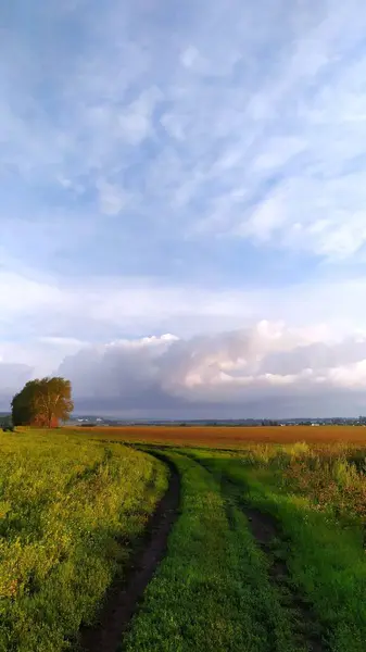 Camino Hierba Verde Gran Campo Llanura Nubes Grandes Una Sensación — Foto de Stock