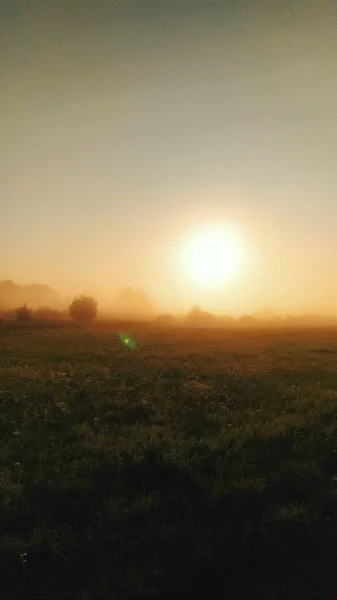 Lever Soleil Dans Brouillard Des Prairies Denses Calmes Printemps Calme — Photo