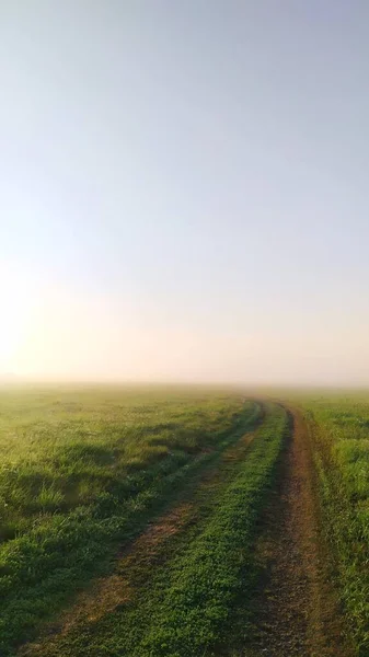 Lever Soleil Dans Brouillard Des Prairies Denses Calmes Printemps Calme — Photo