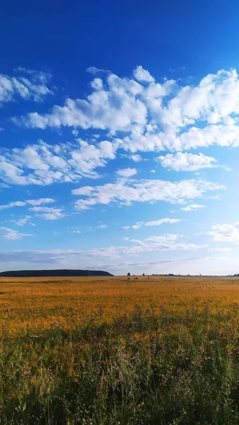 Bonjour Dans Les Champs Tapis Épais Herbe Route Field — Photo