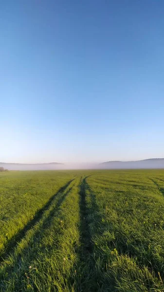 Bonjour Dans Les Champs Tapis Épais Herbe Route Field — Photo