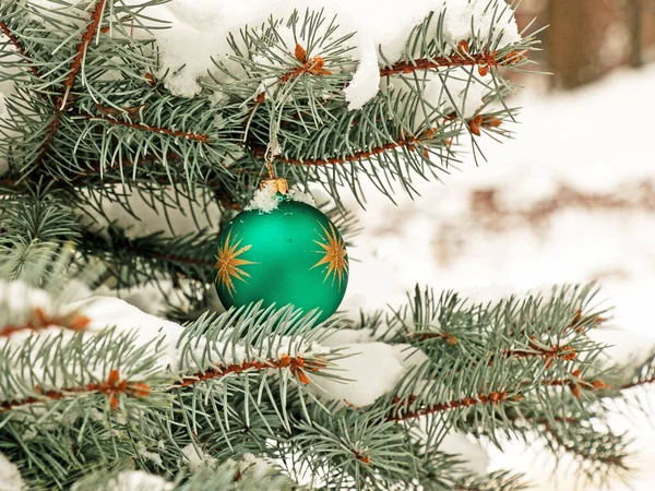 Green Christmas Ball Hanging Snow Covered Branch Christmas Tree Festive — Zdjęcie stockowe