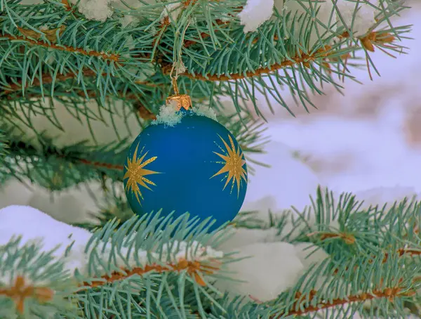 Blue Christmas Ball Hangs Snow Covered Branch Christmas Tree Festive — Zdjęcie stockowe