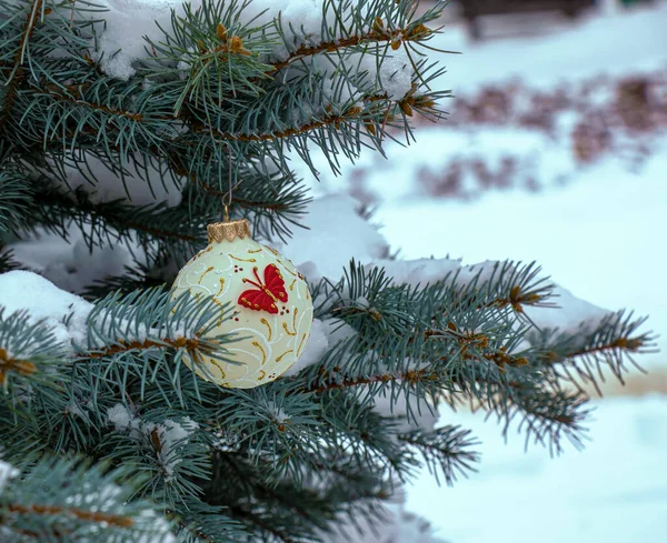 Christmas Ball Hanging Snow Covered Branch Christmas Tree Festive Background — Zdjęcie stockowe