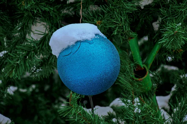 Blue Christmas Ball Hangs Snow Covered Branch Christmas Tree Festive — Zdjęcie stockowe