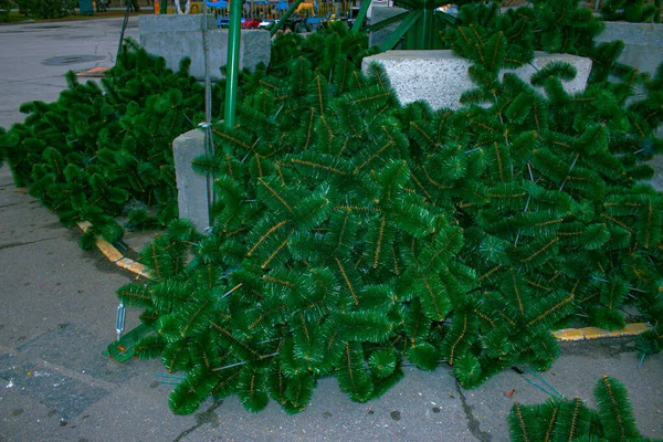 Municipal Services Dismantling City Christmas Tree Holidays — стоковое фото