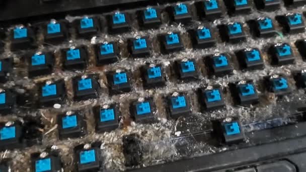 Conceito Lixo Teclado Mecânico Computador Com Botões Sujos Poeira Sujeira — Vídeo de Stock