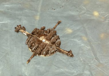 Çok kirli bir egzoz vantilatörünün yakın çekimi. Önleyici temizlik ve yıkamadan önce yelpaze. Kirli detaylar.