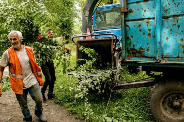 Dnepropetrovsk, Ukrayna - 06.25.2021: Şehir parkındaki ağaçların ve dalların seyyar öğütücüsünün işi. Tahta öğütücü. İşçiler kırık ağaçları geri dönüştürüyor.