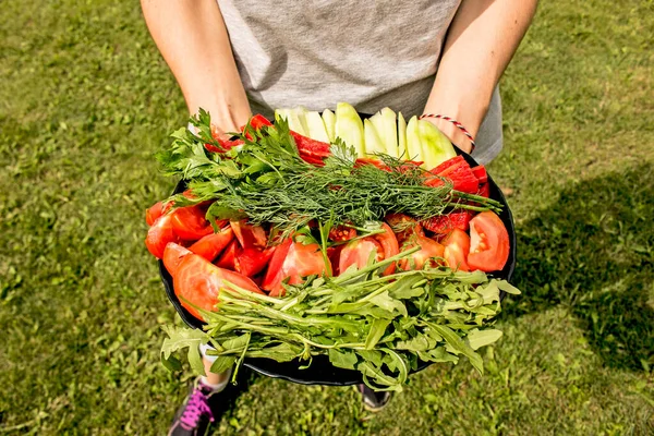 Salade Légumes Tomates Concombres Poivrons Persil Dans Une Assiette Entre — Photo