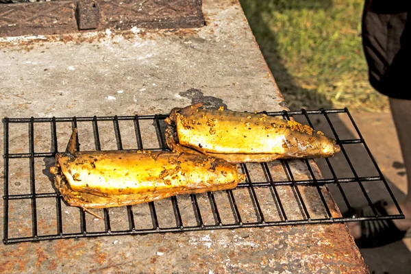 Pesce Sgombro Una Marinata Una Rastrelliera Filo Affumicatoio Pronto Processo — Foto Stock