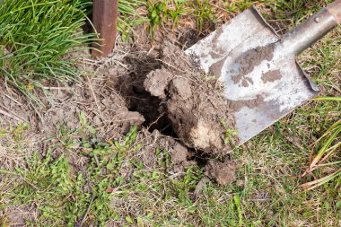 Bahçede yerde eski, kirli bir kürek. Bahçe aletleri ve ekipmanları. Bahçıvanlık kavramı yaz ya da bahar aylarında.
